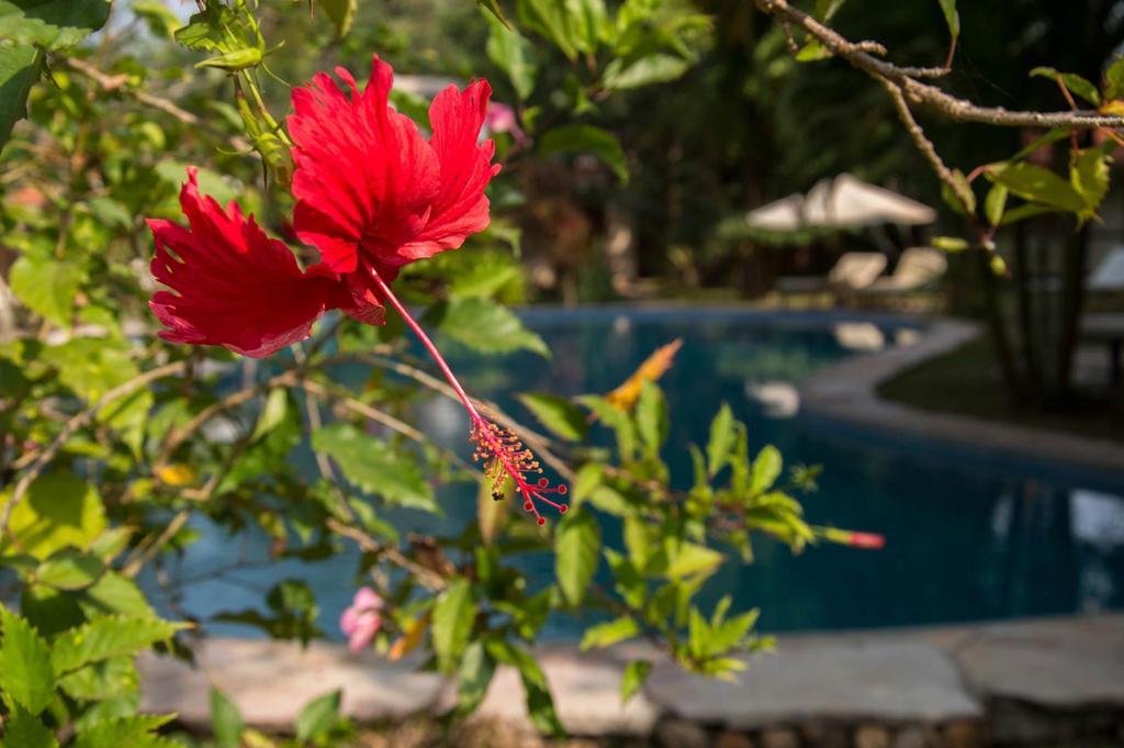 Le Flamboyant Resort Kep Εξωτερικό φωτογραφία